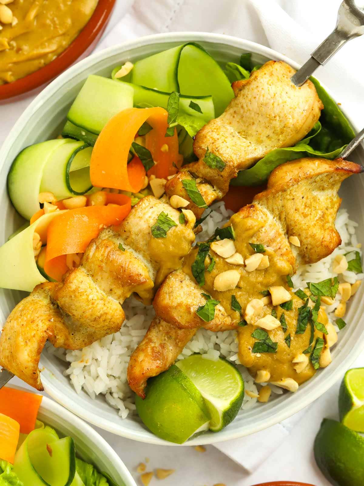Chicken Satay recipe on a bed of rice and salad.